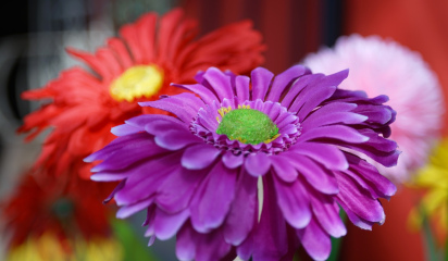 Уход за искусственными цветами