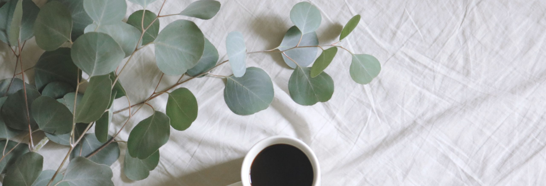 Что такое современные экоткани?