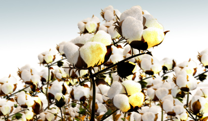 Надежные цвета, которые всегда будут добавлять шик и элегантность вашему интерьеру