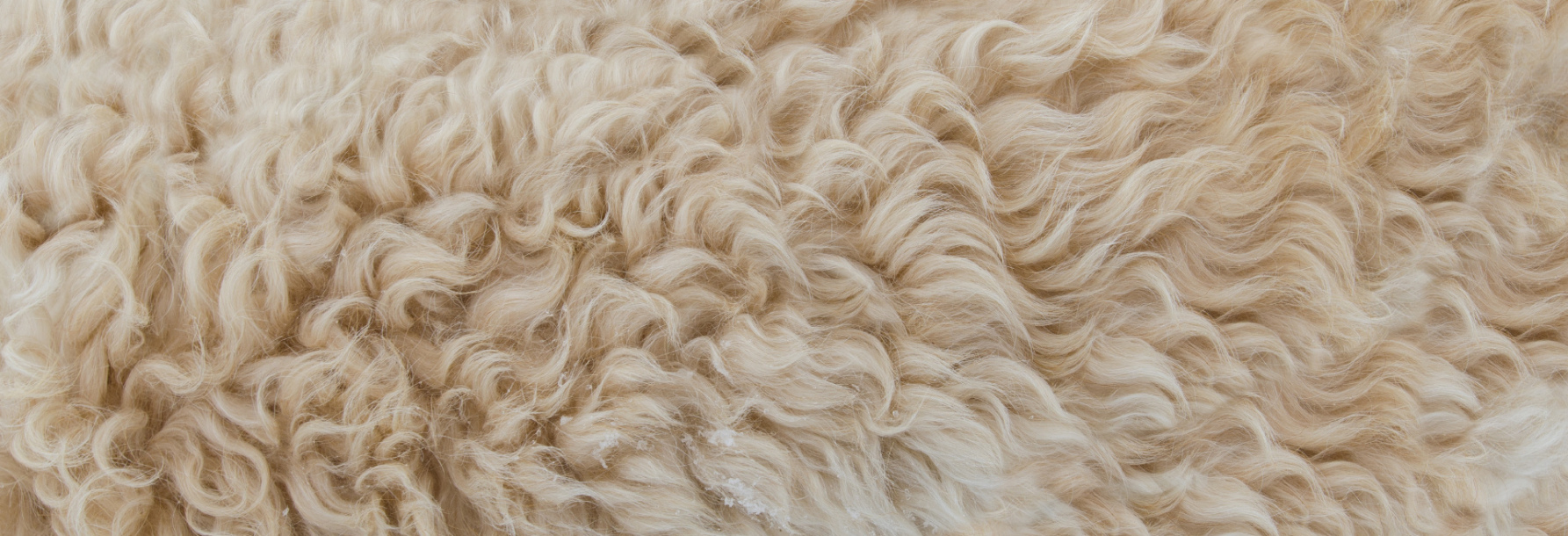 Как восстановить любимую одежду из шерсти