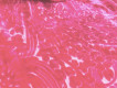 Пан - бархат шелковый розовый ПБ -002