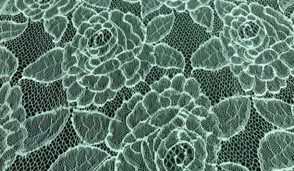 Кружево белое КР - 243