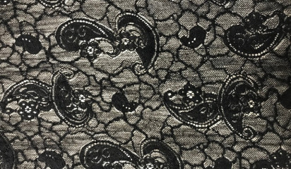 Гипюр - стрейч черный Г - 850240