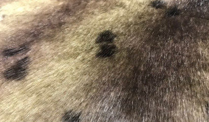 Искусственный мех М- 034