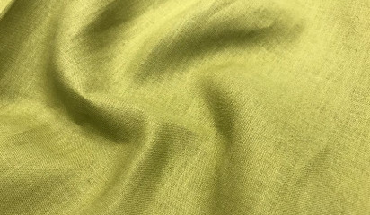 Лен зеленый 19274 (18)