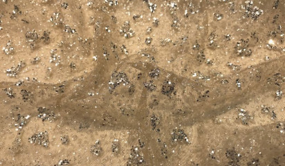 Сетка с напылением телесная  С - 2508