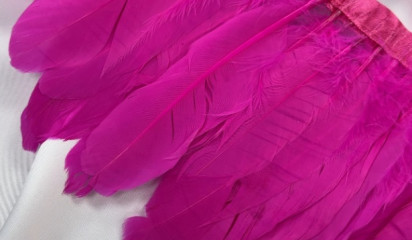 Перо на ленте фуксия