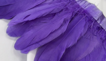 Перо на ленте фиолетовый