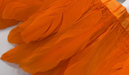 Перо на ленте оранжевый