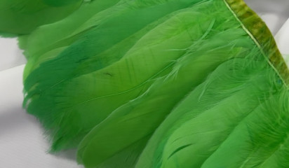 Перо на ленте зеленый