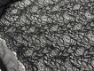 Гипюр стрейч черный Г-20214(1)