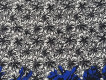 Жаккард  черно-белый с синими цветами ЖК - 52431