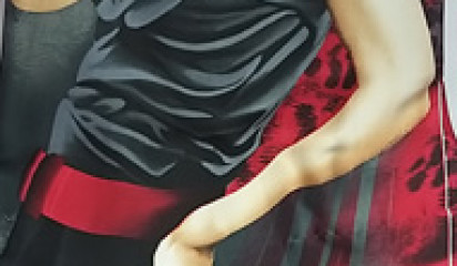 Плательная ПЛ - 034/10