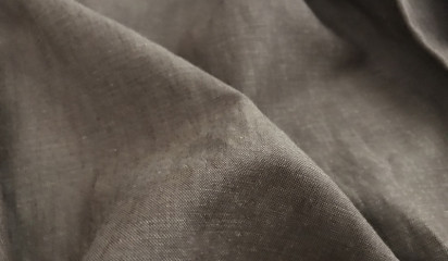 Лен коричневый  1666