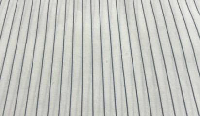 Лен в полоску 24023